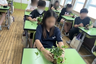 2025.06.09-06.11 대명초등학교 관련사진